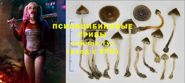 прущая мука Балахна