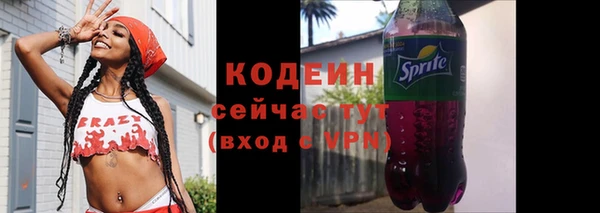 ешки Вяземский