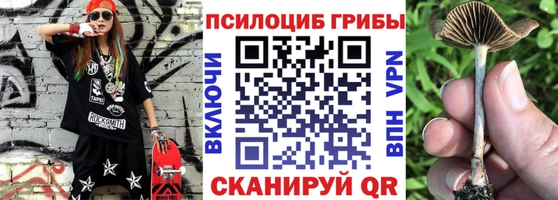 Псилоцибиновые грибы Psilocybe  блэк спрут сайт  Козьмодемьянск 